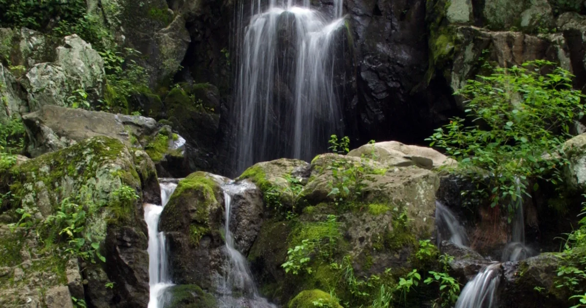 Doyles River Falls Loop