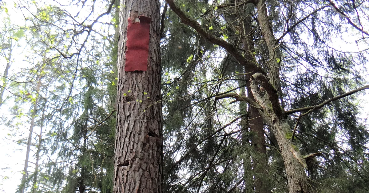 Beehive Trail