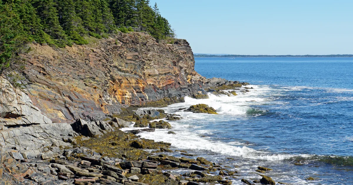 Two Dollar Beach Path