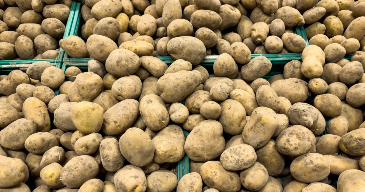 Potato Harbor Trail