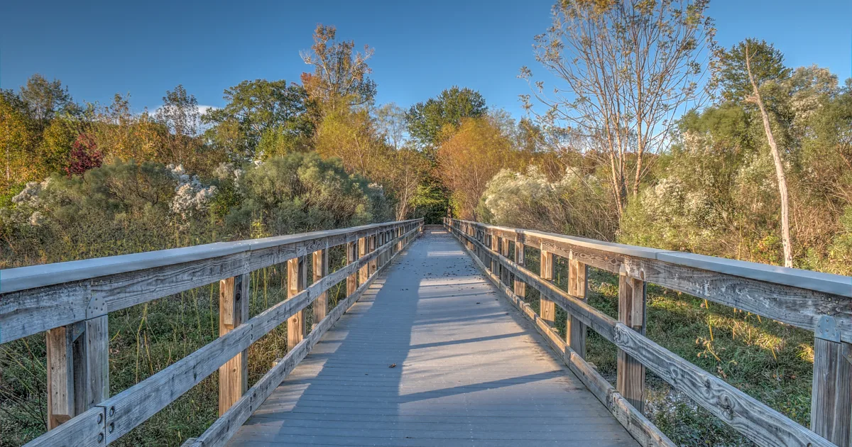 Boardwalk Loop