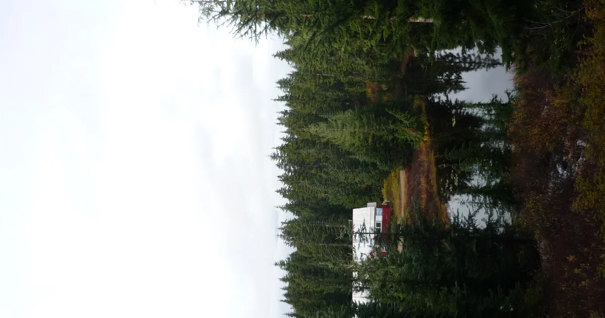 Horseshoe Lake Trail