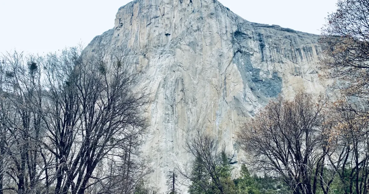 Zumwalt Meadow Loop