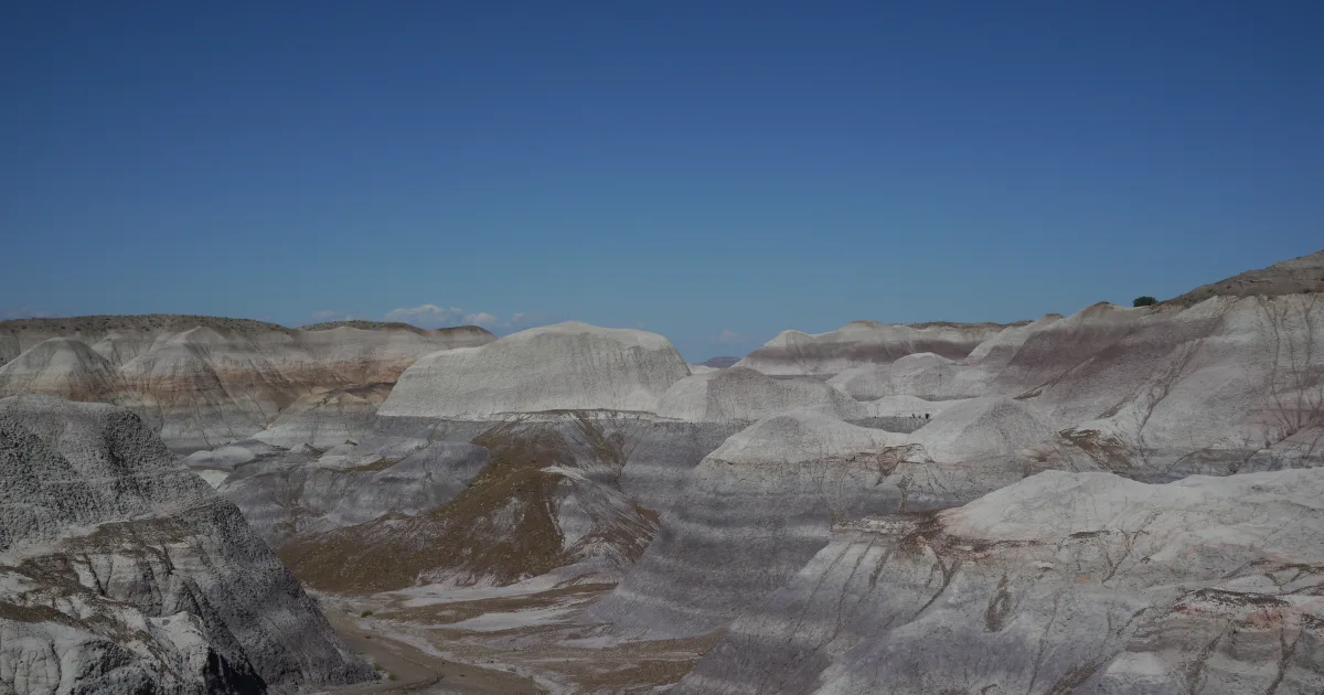 Blue Mesa Trail