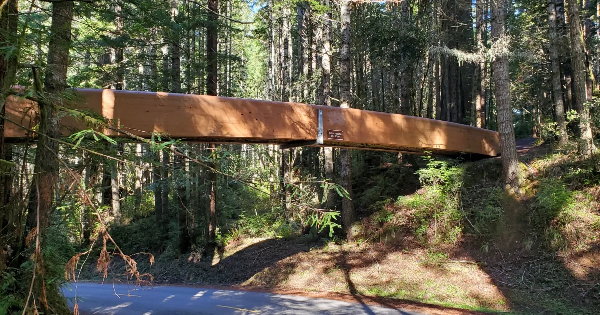 Lady Bird Johnson Grove Loop