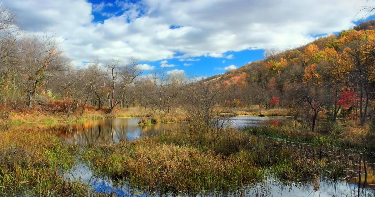Sky Pond Trail