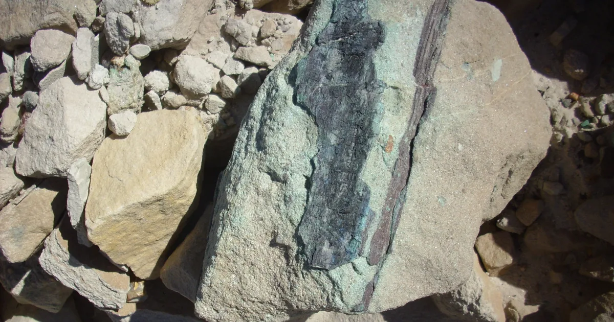 Petrified Forest Trail South Unit