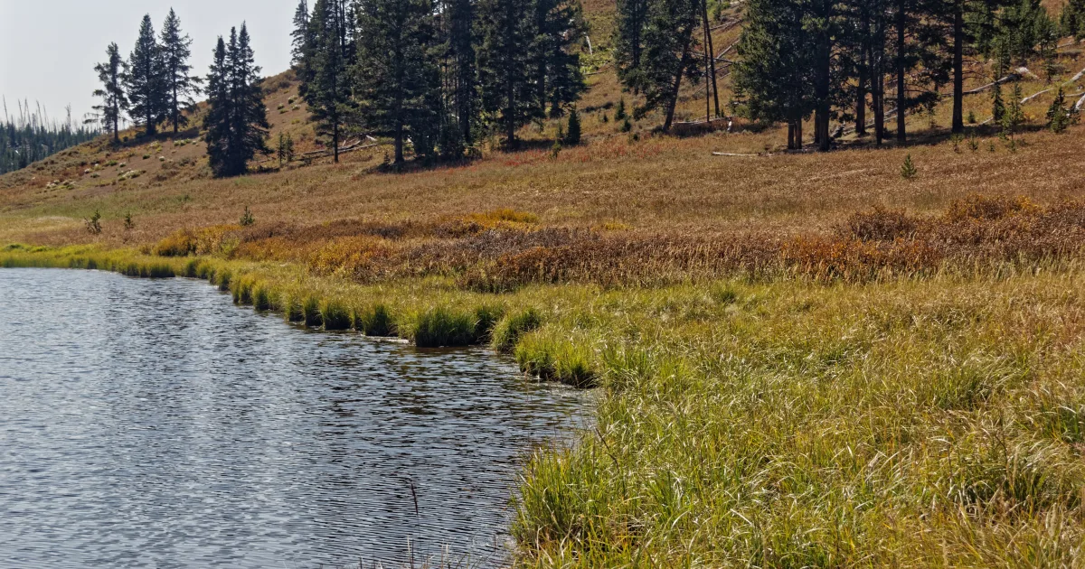 Observation Peak Trail