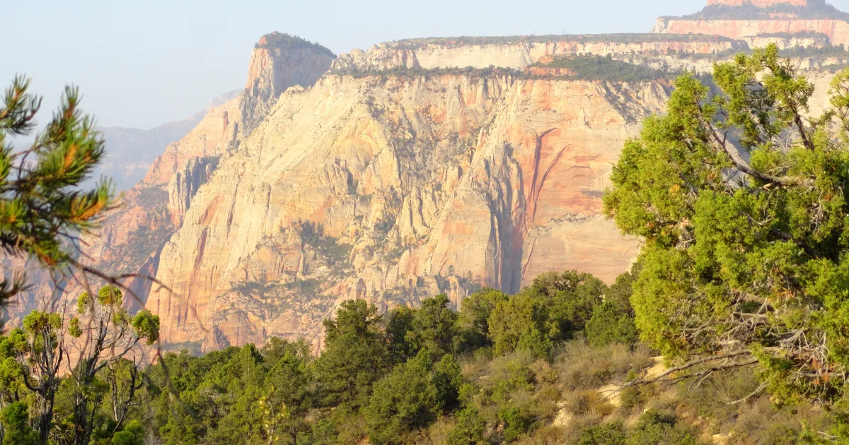East Mesa Trail to Observation Point
