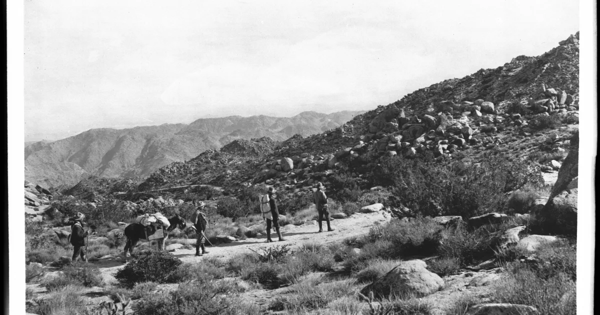 Number Four Mountain Trail