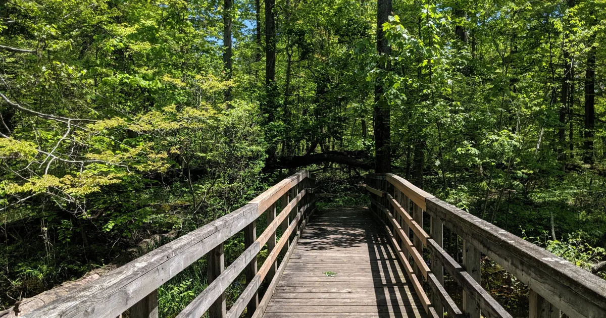 Oak Flat Boardwalk Trail