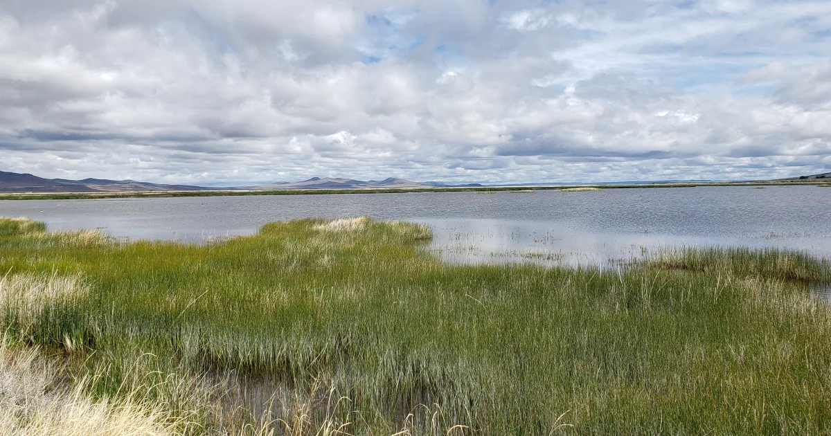 Oregon Dunes Overlook Trail