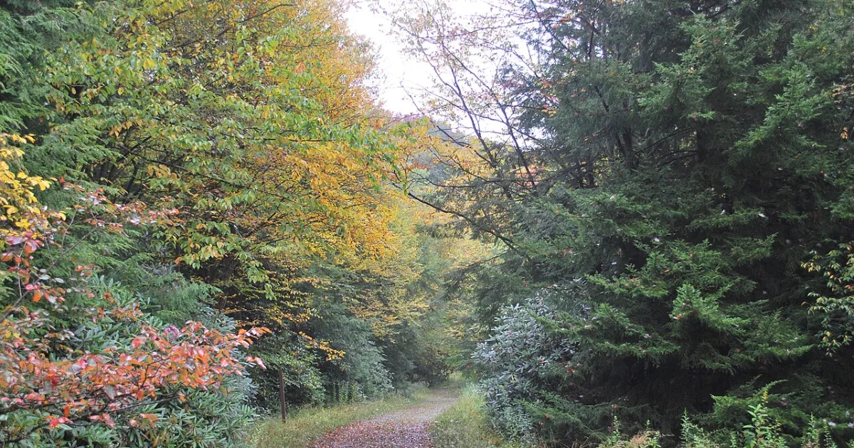 Otter Creek Wilderness Trail
