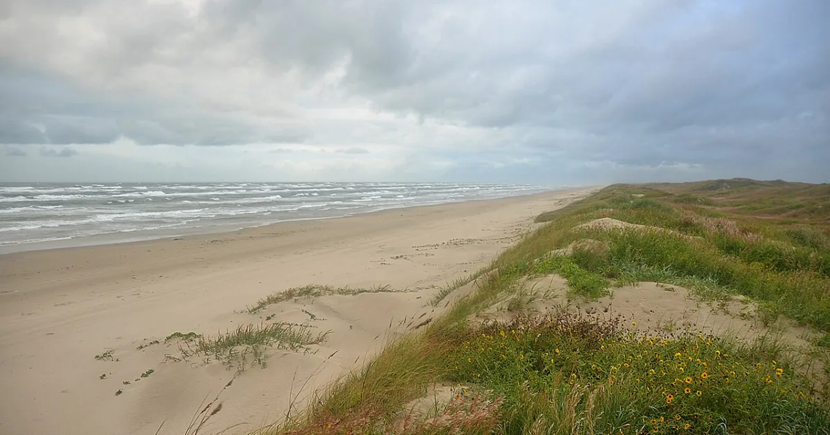 Padre Island Nature Trail