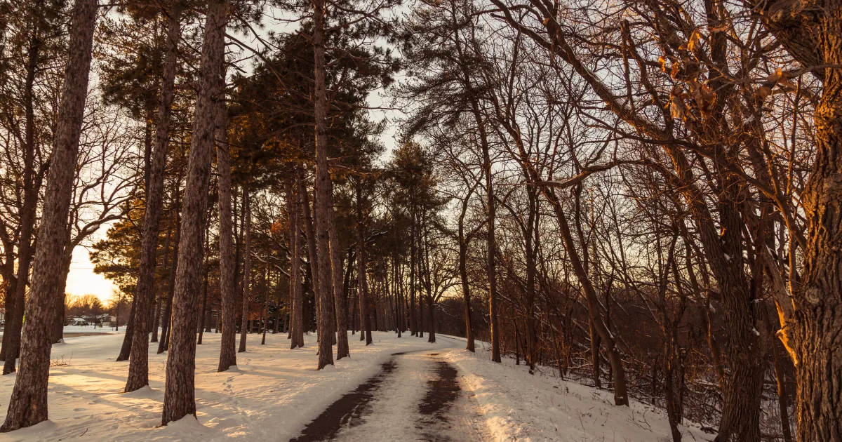Palmer Creek Loop