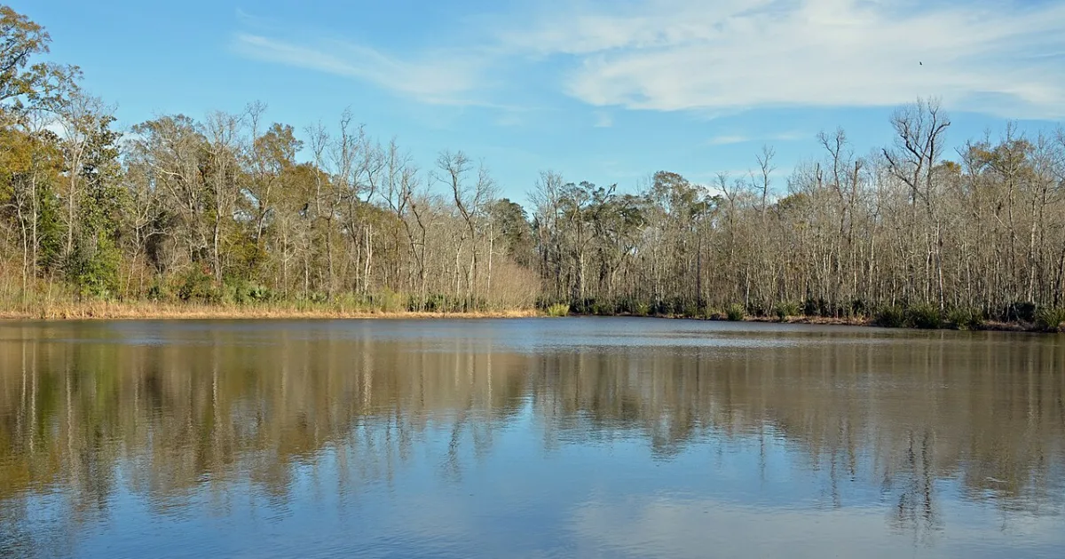 Palmetto Island State Park Trail — Abbeville, Louisiana
