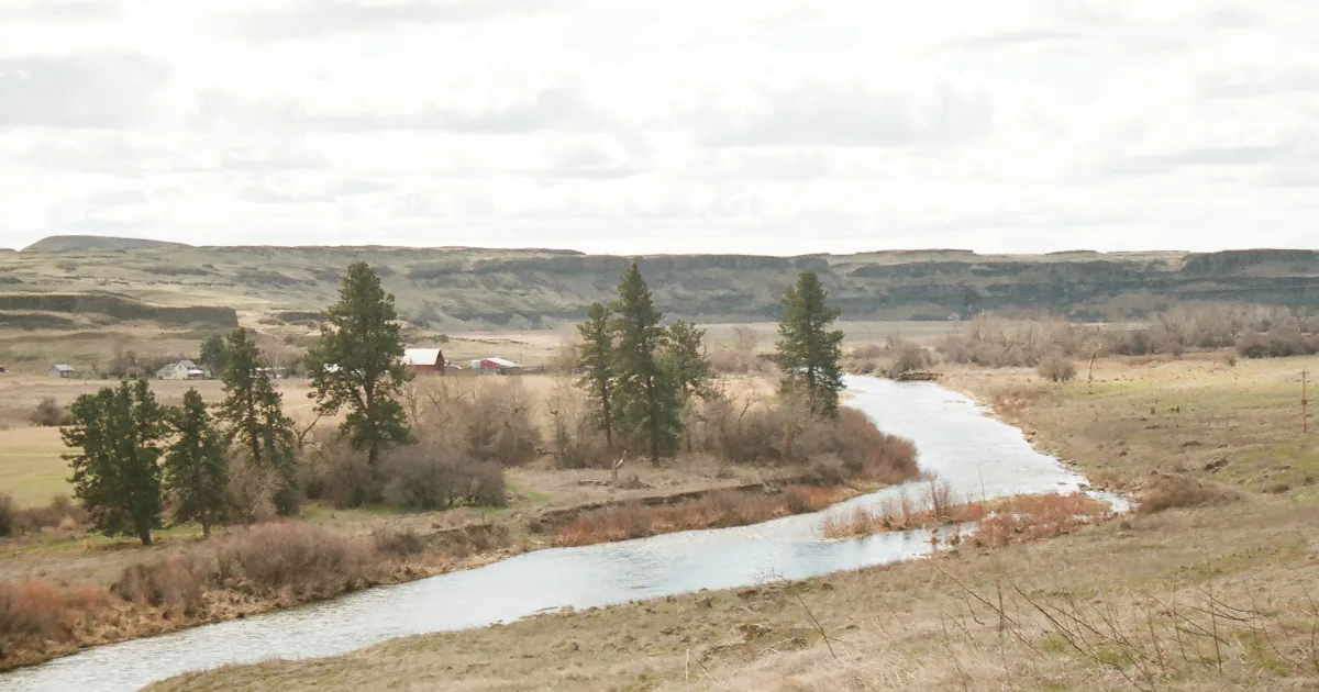Palouse Falls: Washington's Official State Waterfall