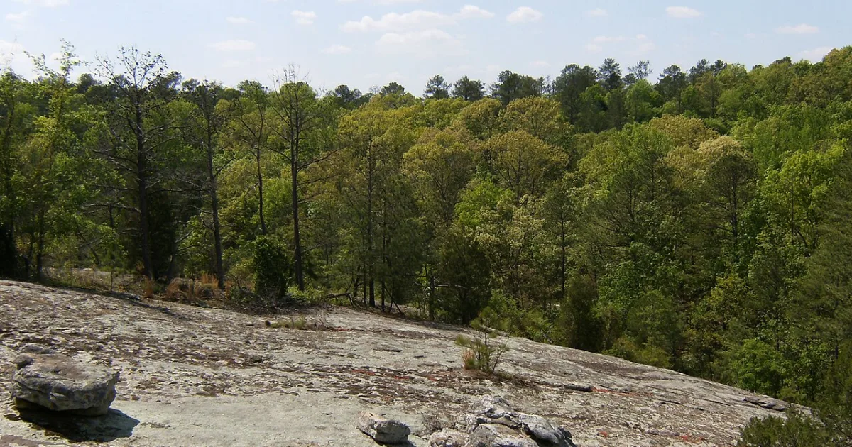 Panola Mountain Loop — Stockbridge, Georgia