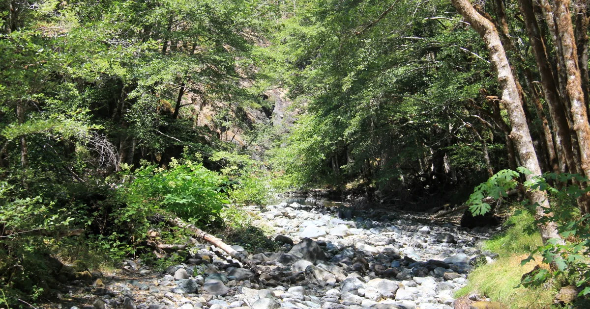 Panther Creek Trail — Chattahoochee NF, GA