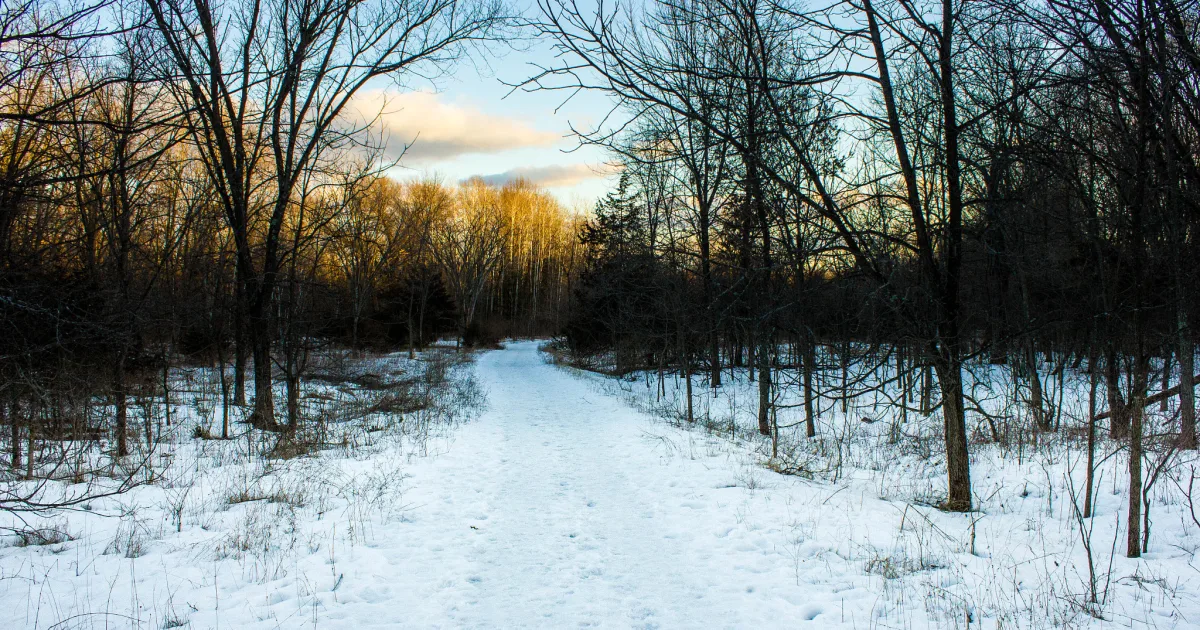 Parfrey's Glen Trail