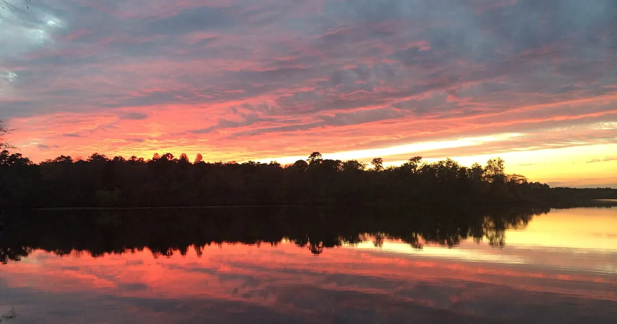 Parvin State Park Trail