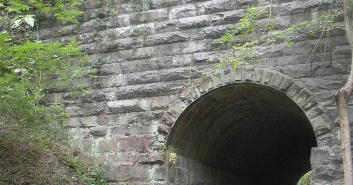 Patapsco Valley Cascade Falls Trail