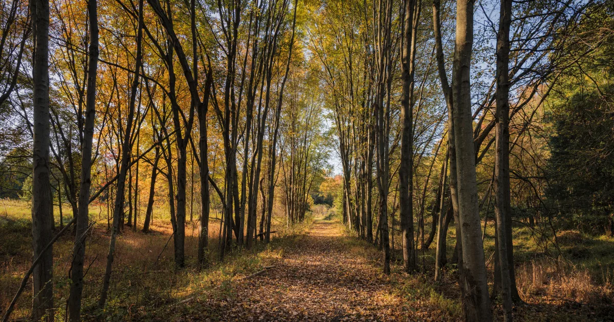 Patuxent River State Park MTB