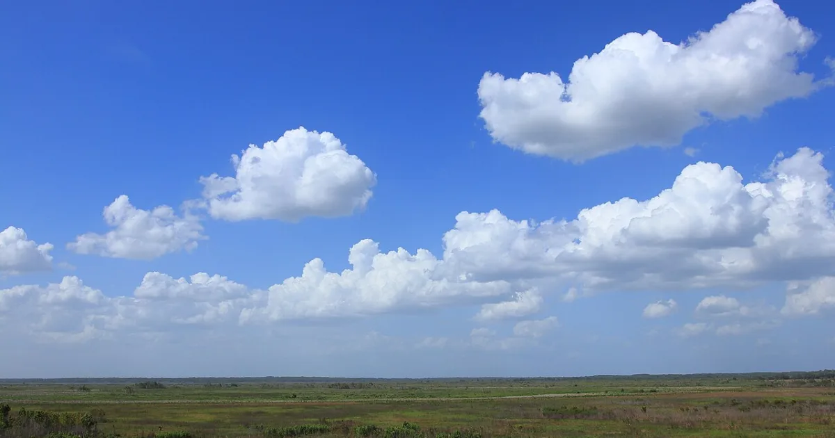 Paynes Prairie State Preserve Trail — Micanopy, Florida
