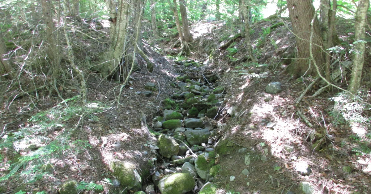 Peaked Mountain Trail