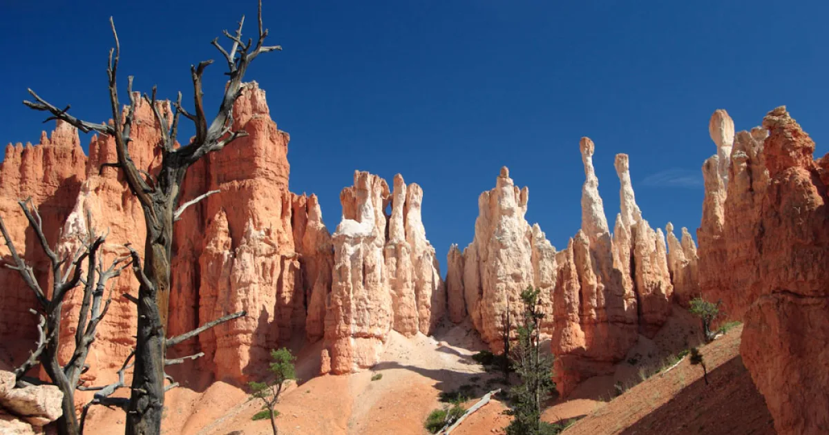 Peek-a-Boo Loop — Bryce