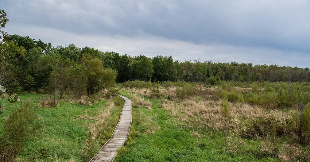 Pershing State Park Wetland Loop