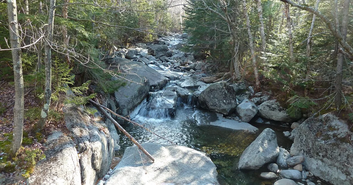 Phelps Mountain Trail