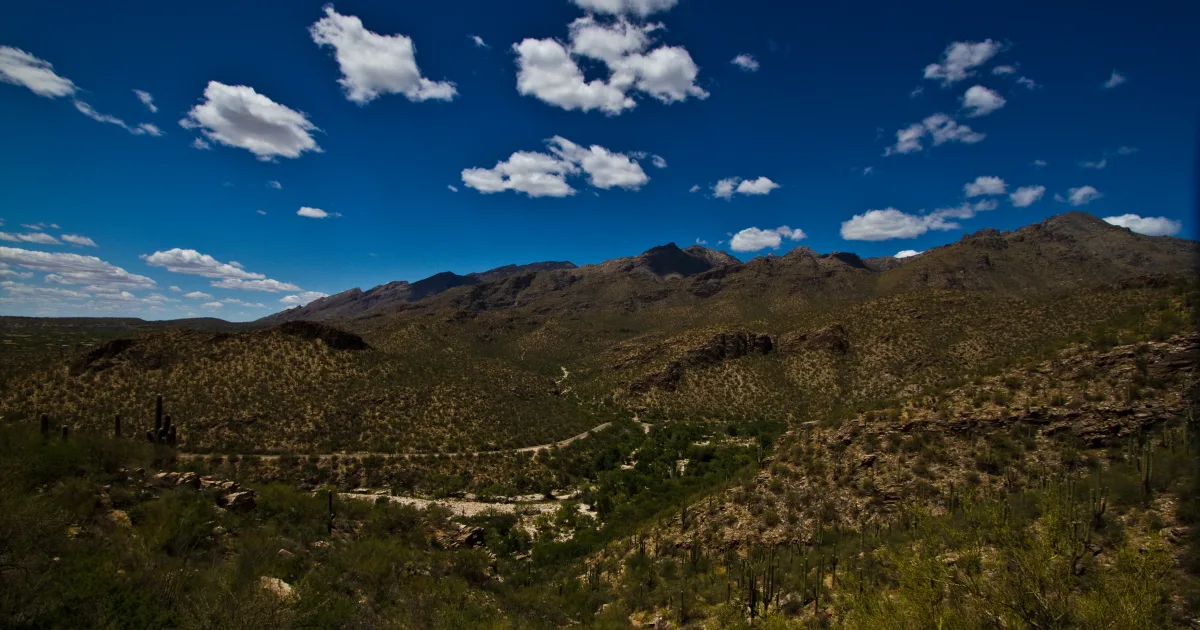Phoneline Trail Sabino Canyon