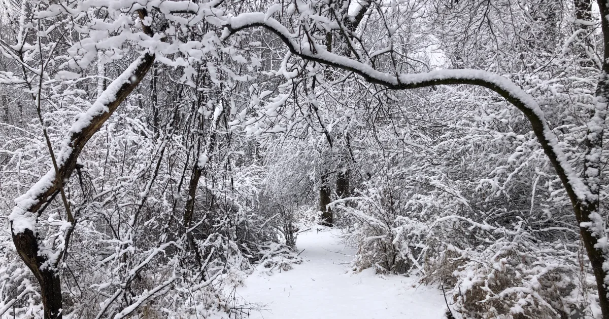 Pibel Lake Trail