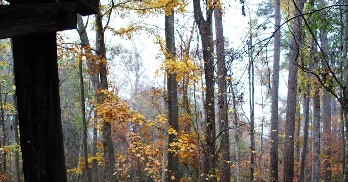 Piney Falls Trail — Fall Creek Falls SP, TN