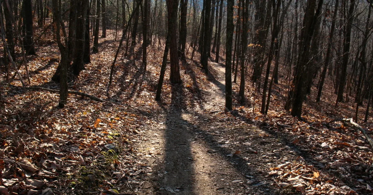 Pinhoti Trail Bike Segment — Cleburne/Cherokee Counties, GA