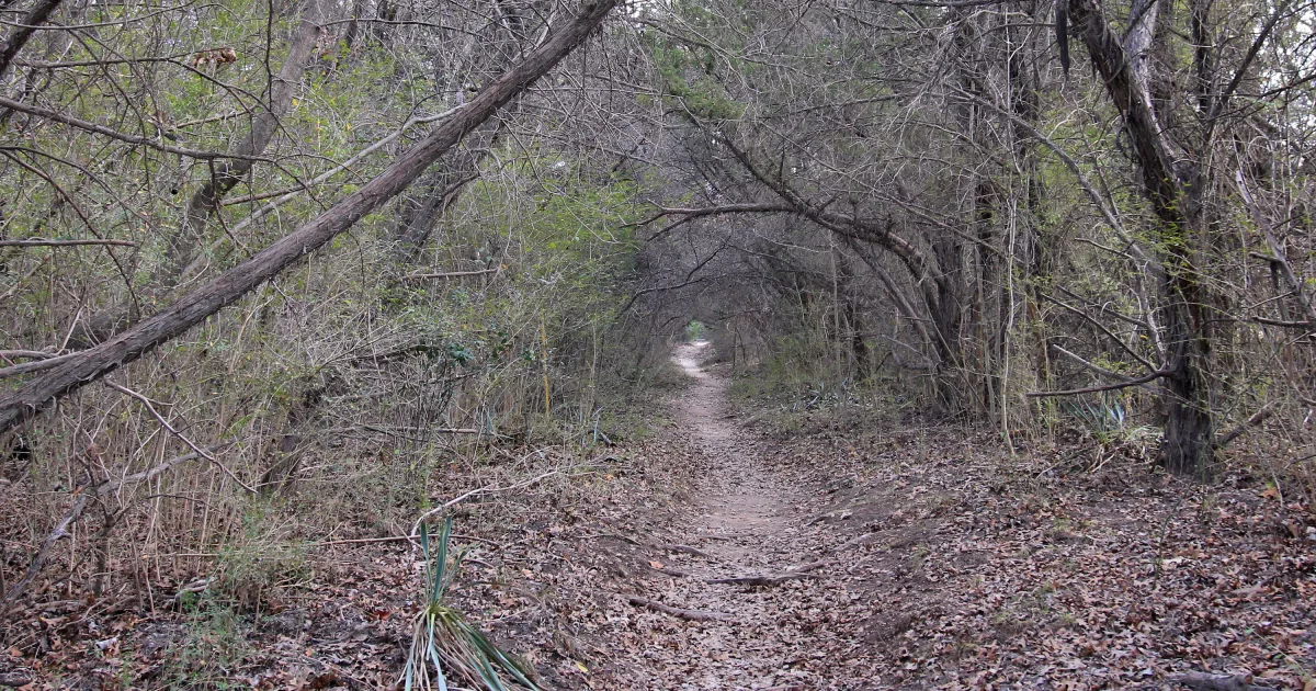 Pinhoti Trail: Cleburne Segment — Alabama