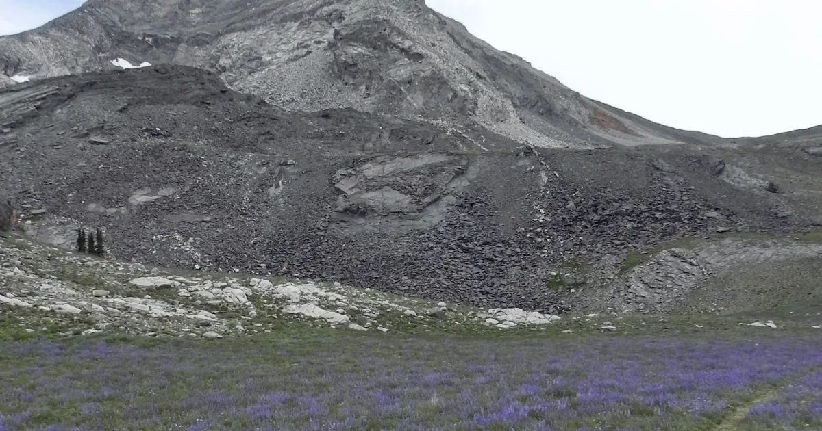 Pioneer Mountains Loop