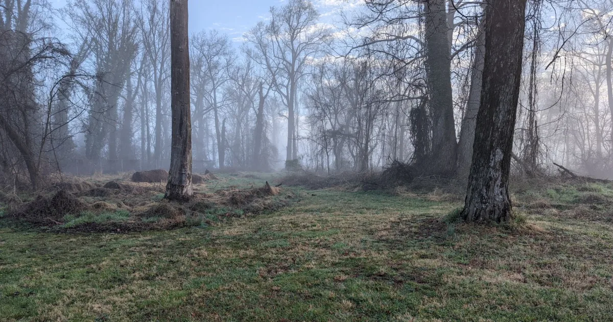 Pocomoke State Forest Nassawango Loop