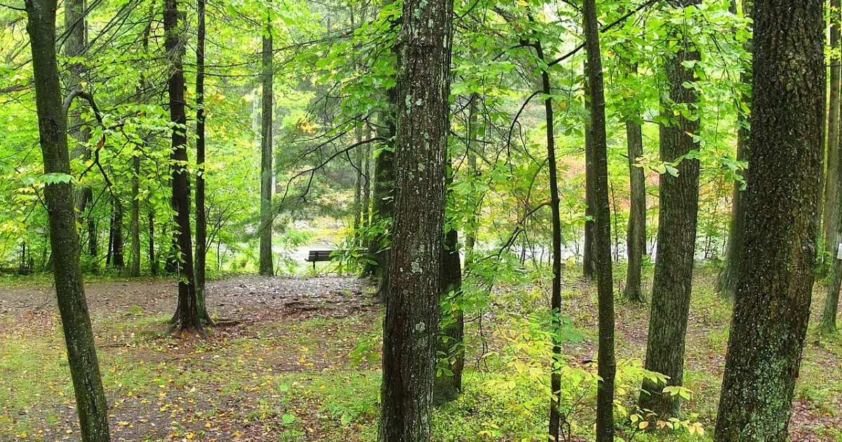 Poe Paddy — Penns Creek Trail