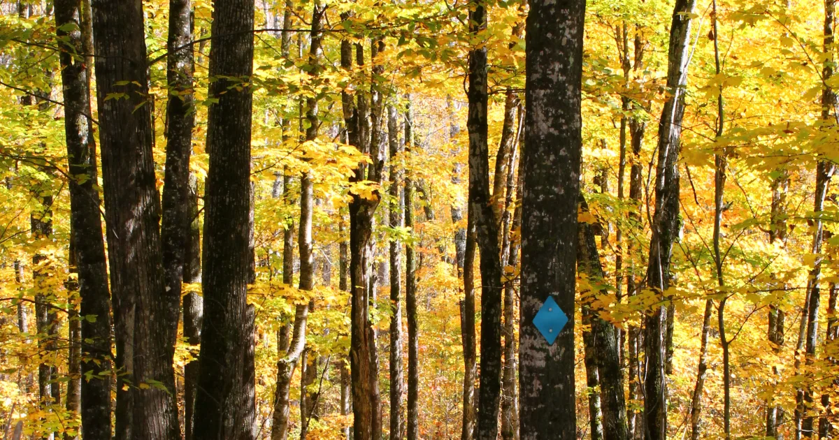 Prairie Spirit Rail Trail