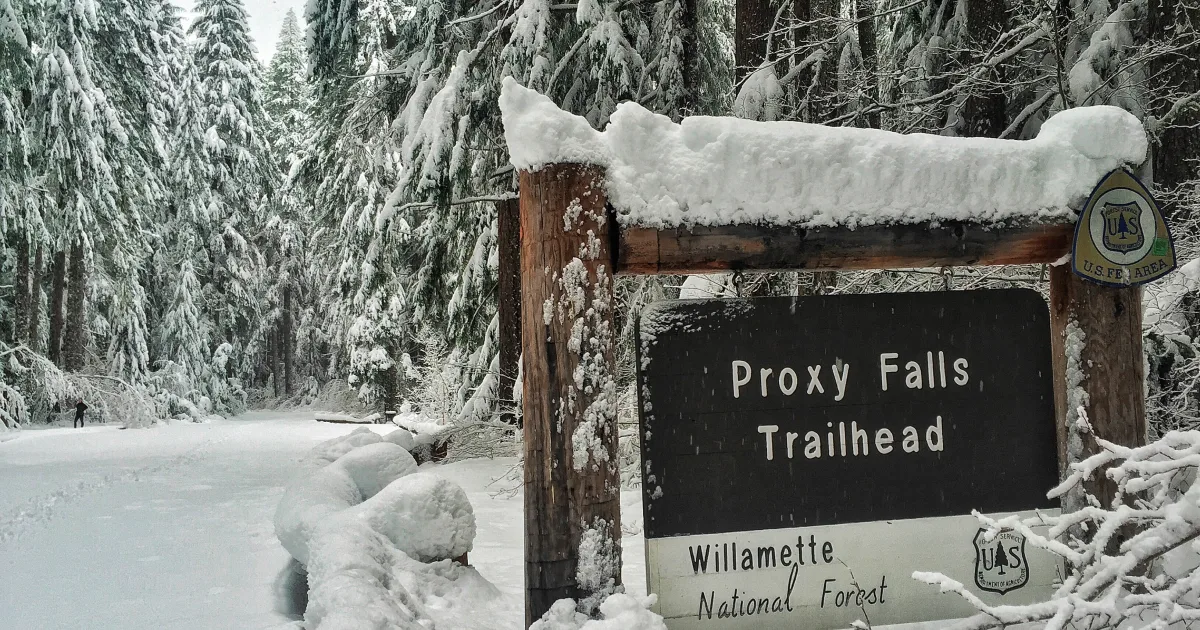 Proxy Falls: A Double Waterfall Wonder in the Oregon Cascades