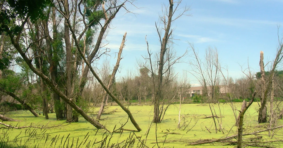 Purdue Research Park Trail