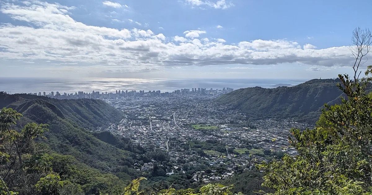 Pu'u Pia Trail