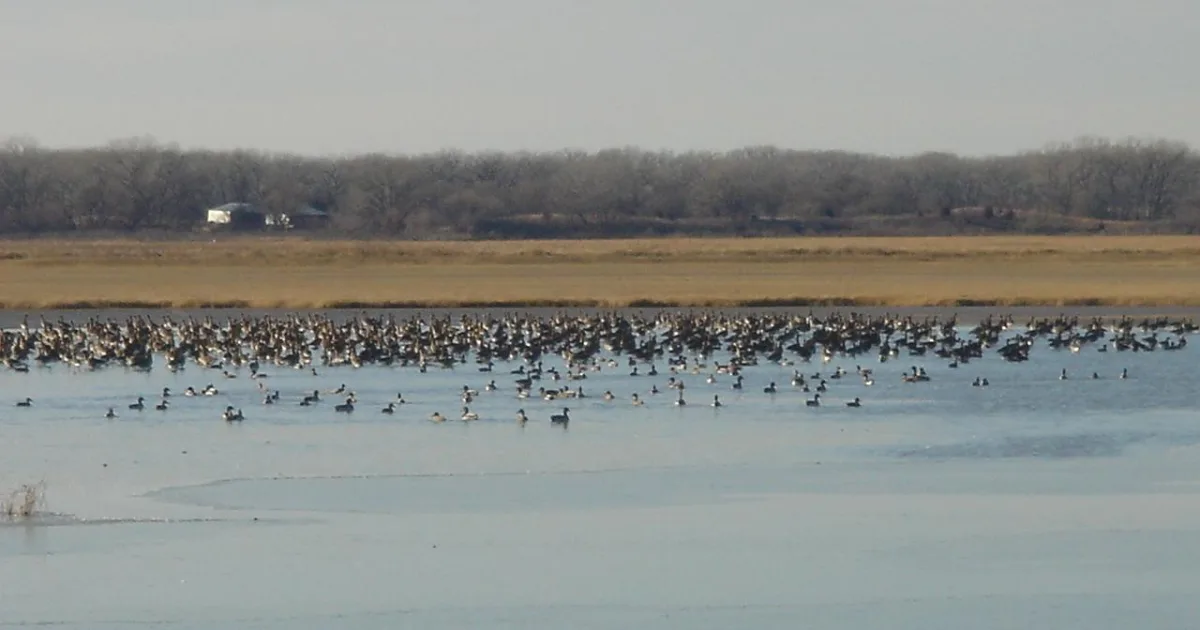 Quivira National Wildlife Refuge Trail
