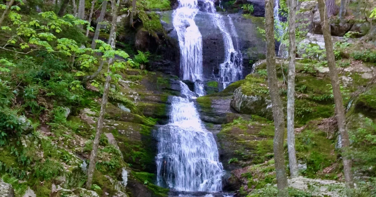 Raymondskill Falls Trail