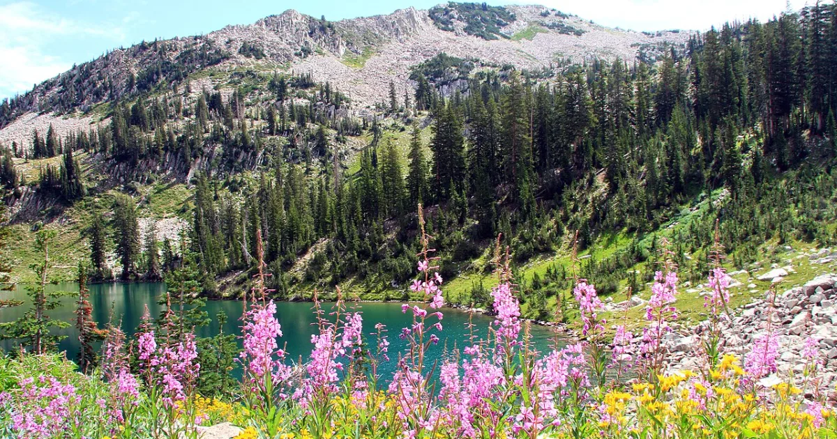 Red Pine Lake Trail
