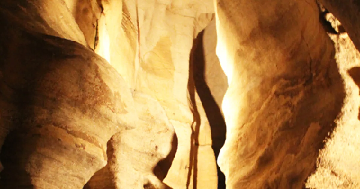 Rickwood Caverns State Park Trail
