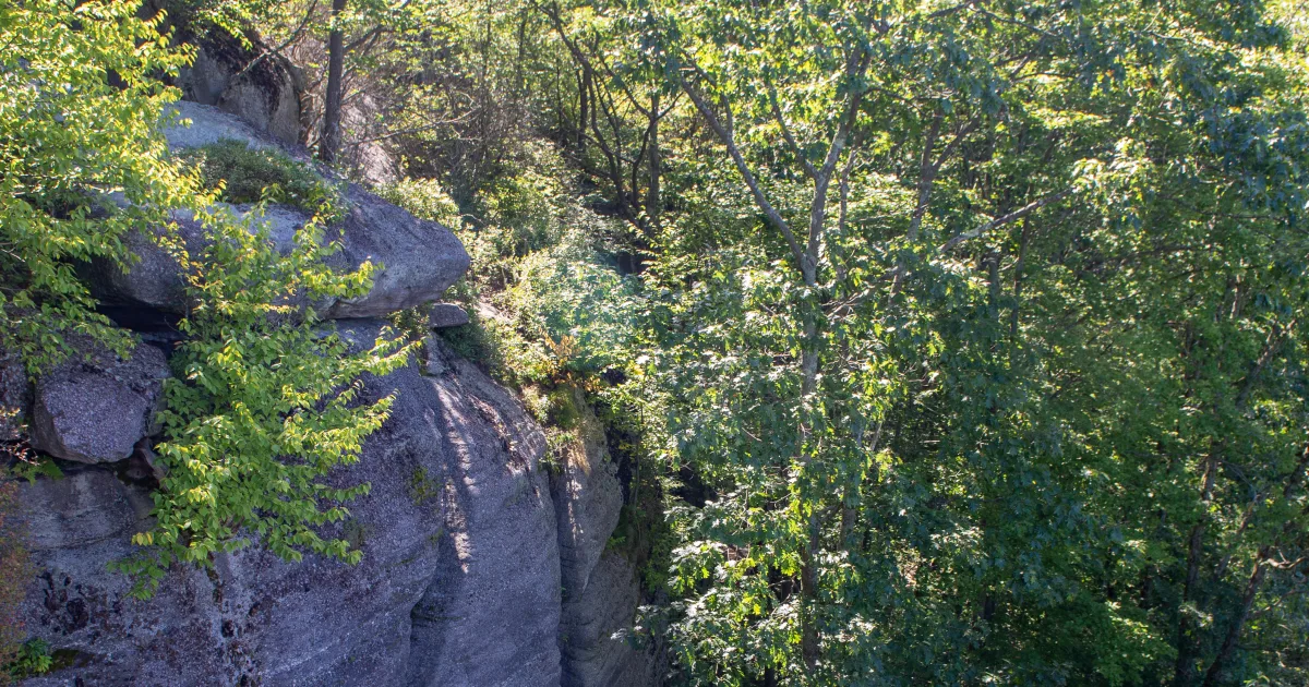 Rimrocks Trail — Billings, Montana