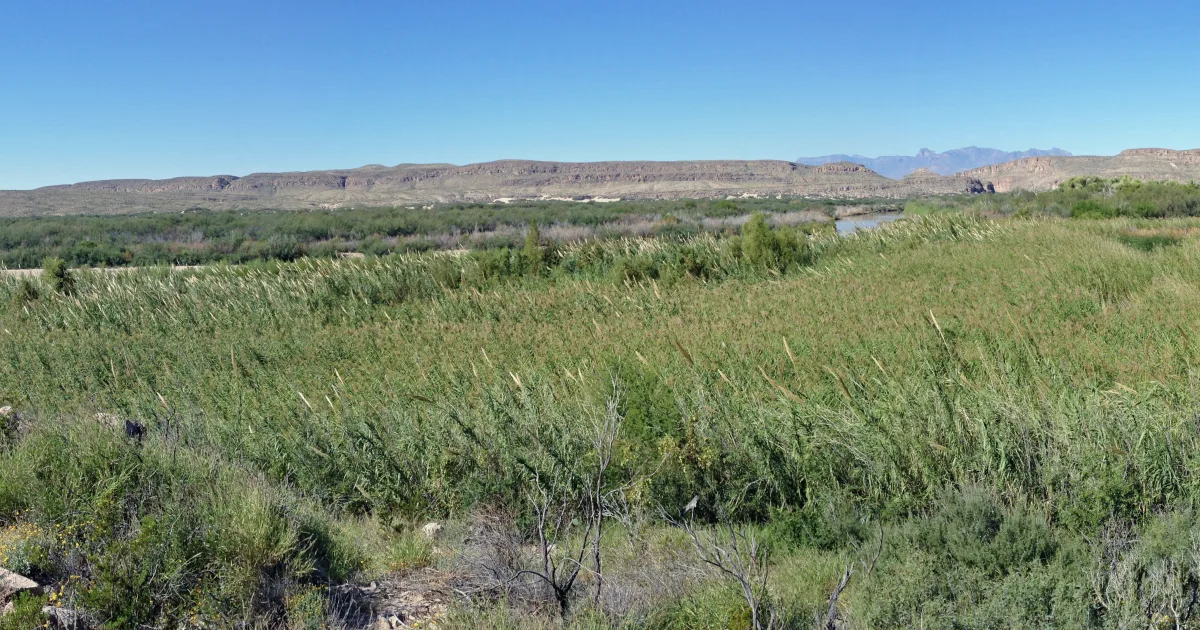 Rio Grande Nature Center Trail